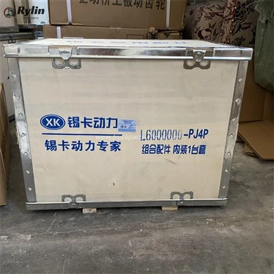 Pecyn Leinin Silindr FAW L6000000-PJ4P